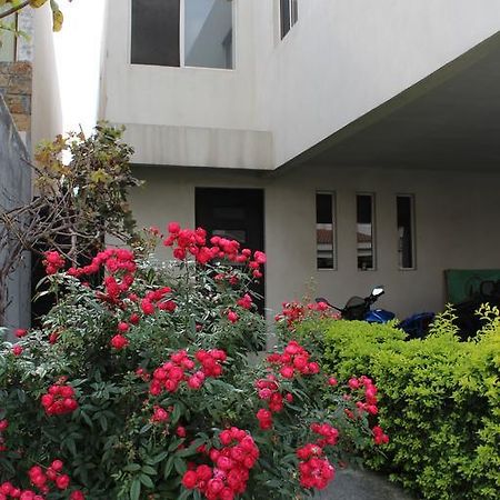 Consulado Suites Monterrey Luaran gambar