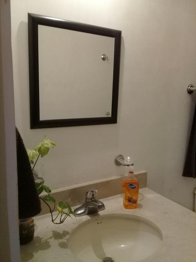 Consulado Suites Monterrey Luaran gambar